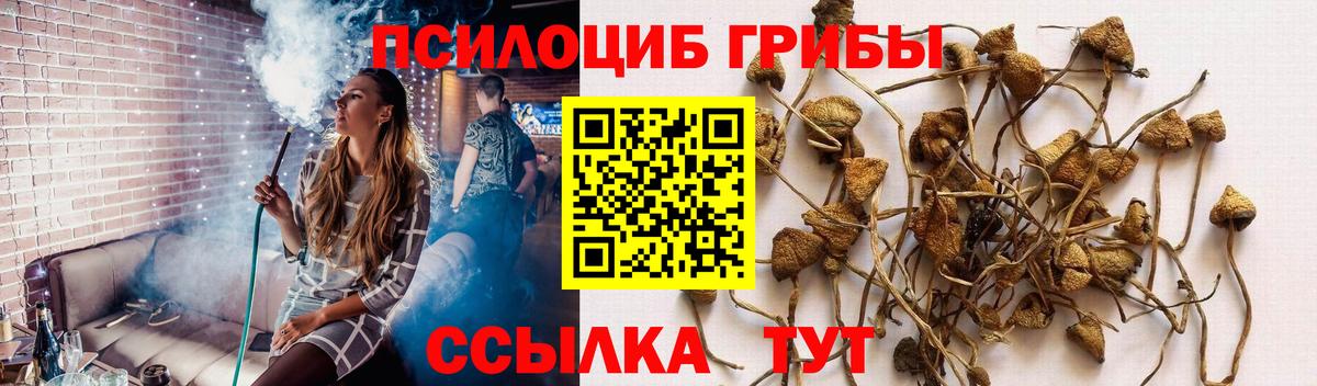 Галлюциногенные грибы GOLDEN TEACHER Лосино-Петровский