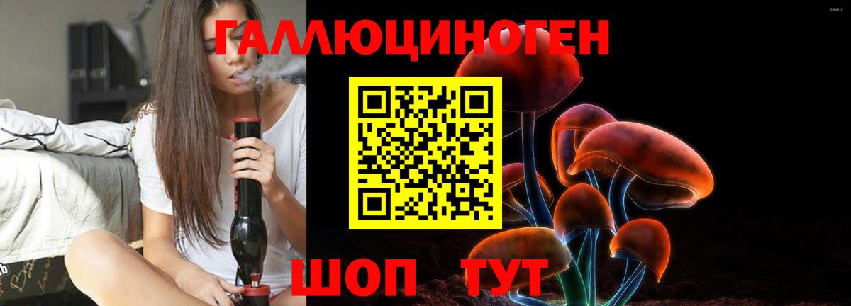 Псилоцибиновые грибы Cubensis  Вход с VPN  Лосино-Петровский 